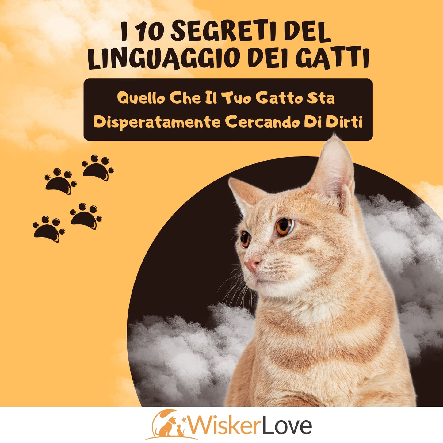 I 10 Segreti del Linguaggio dei Gatti (EBOOK)