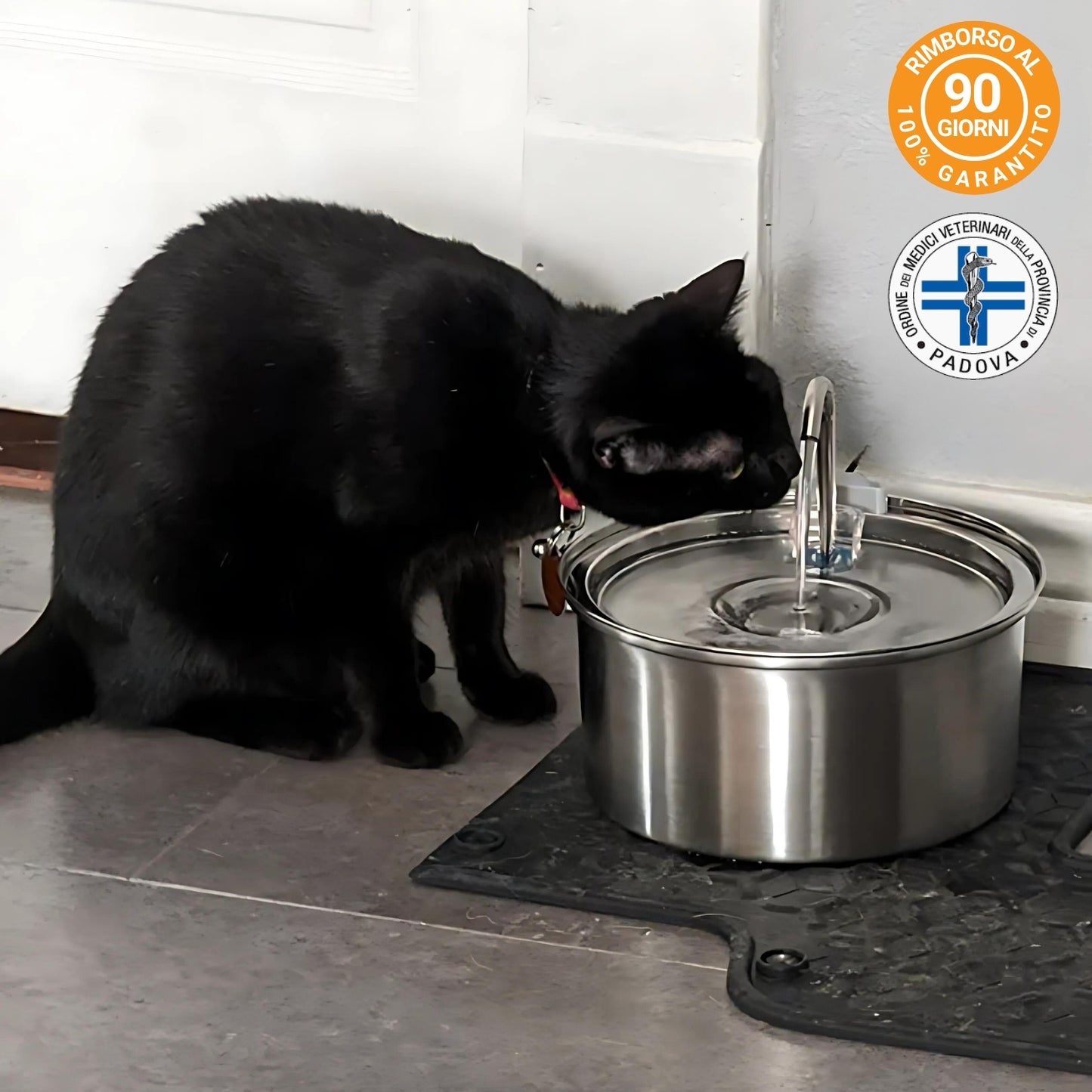 WiskerLove Fontana Acciaio Inox Anti-Batterica™ XL (3,2L)
